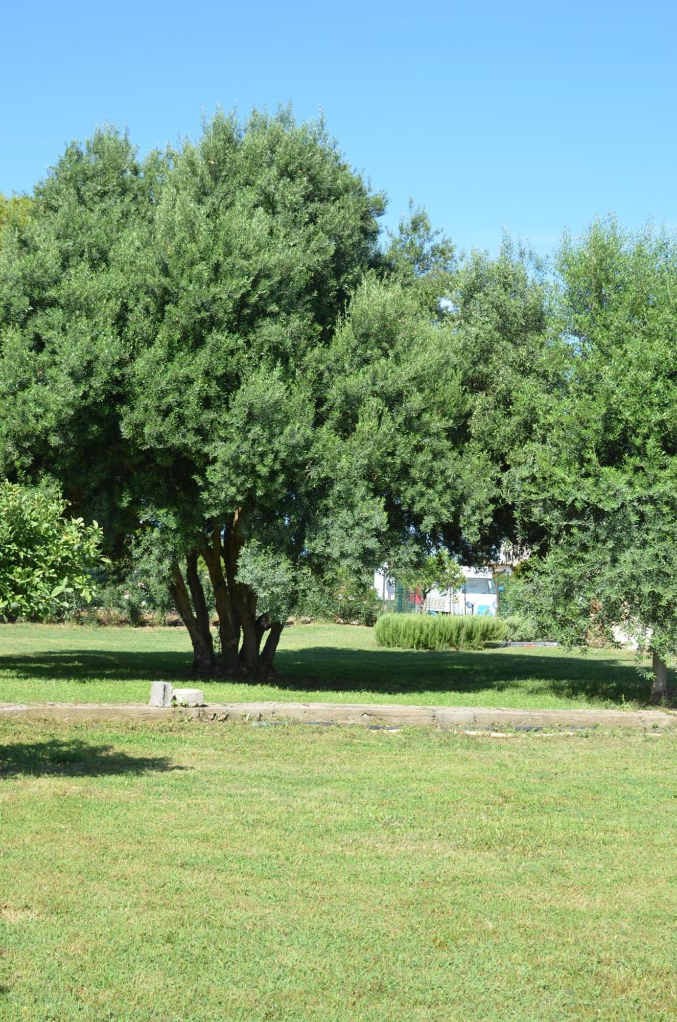 Villa Teti - Sicilia Campofelice Di Roccella Bagian luar foto