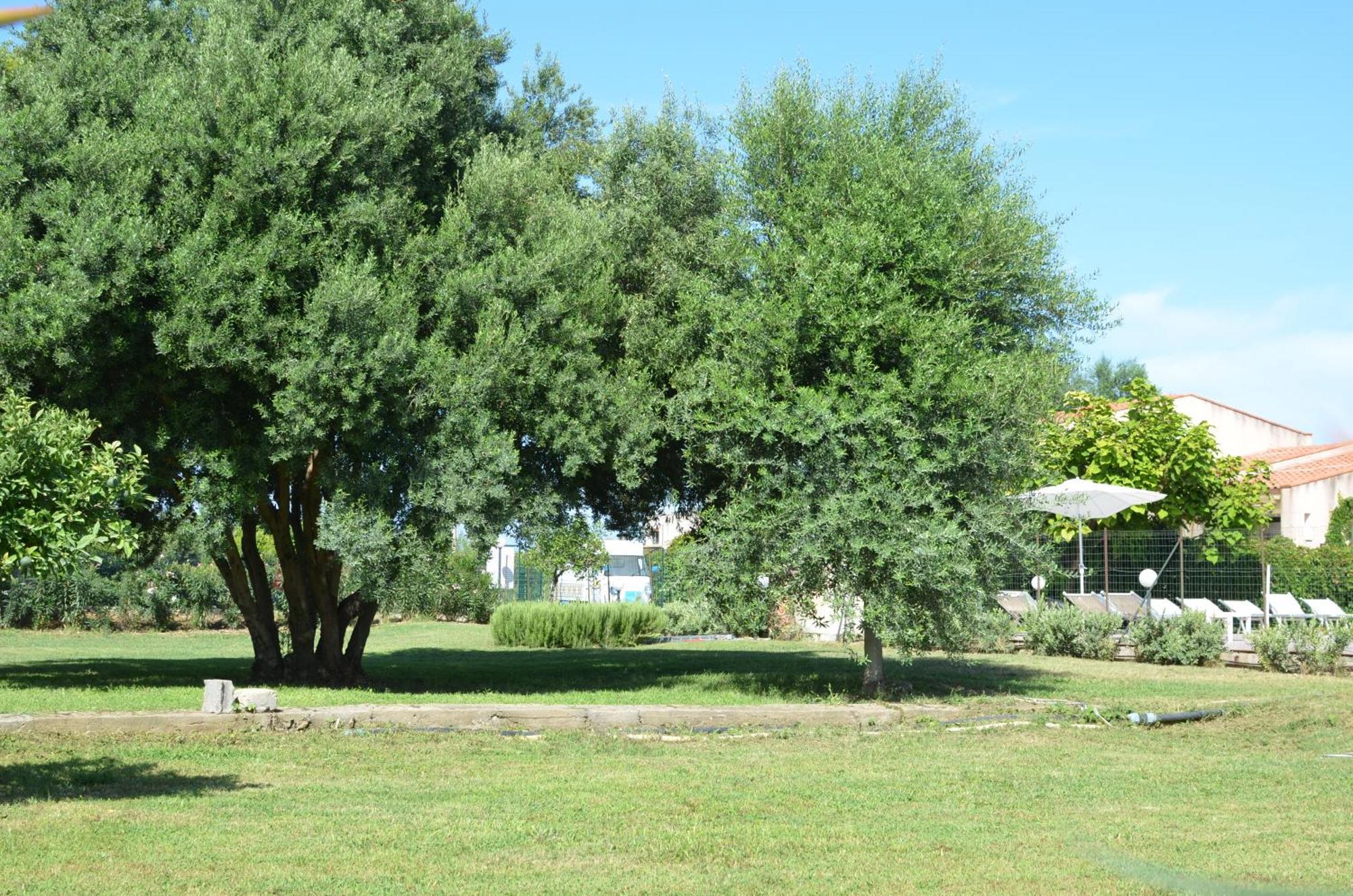 Villa Teti - Sicilia Campofelice Di Roccella Bagian luar foto